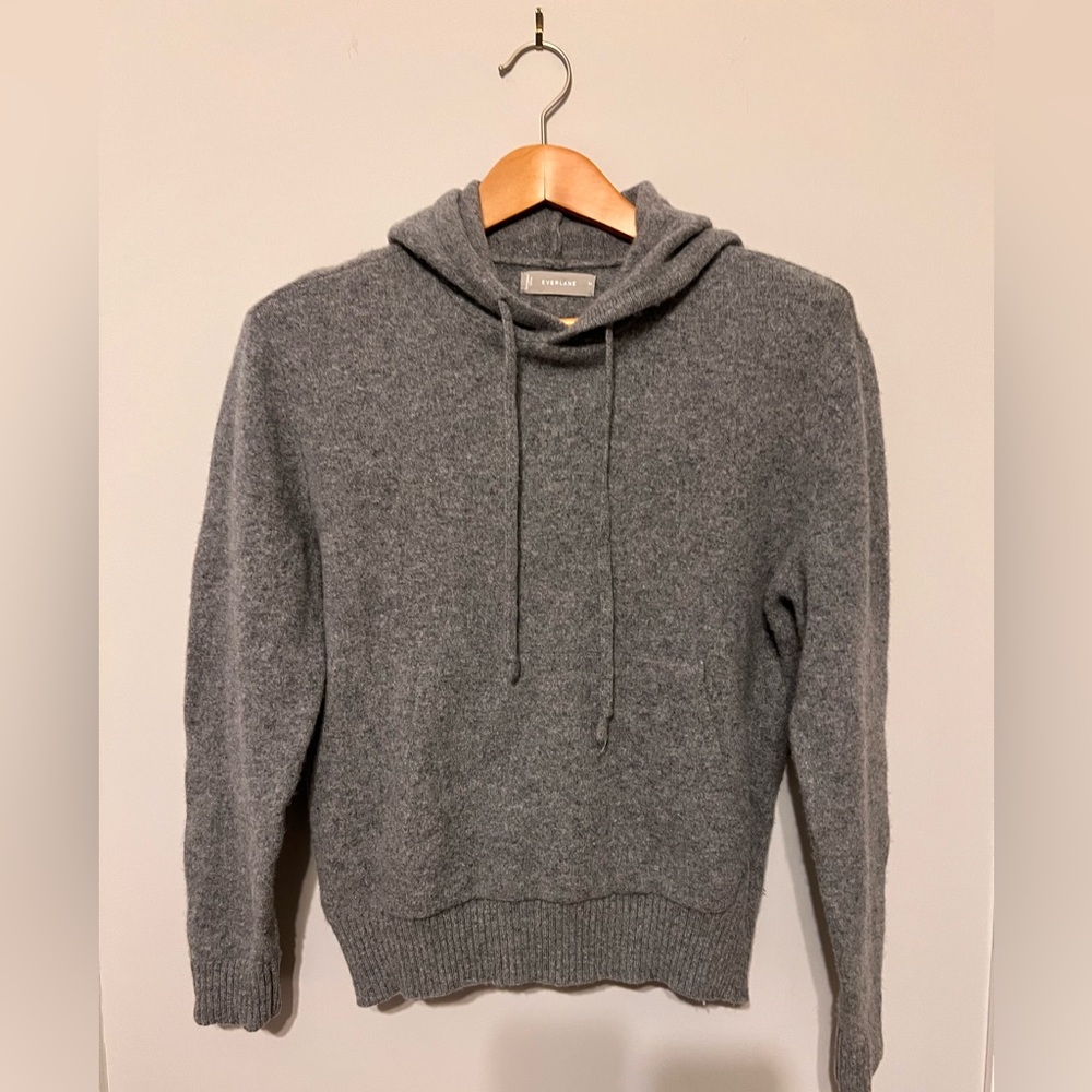 Everlane hooded knit sweater